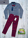 Бордові штани Polo Armani для хлопчика, фото 9