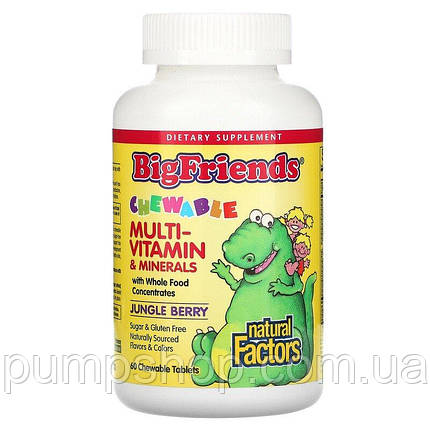 Вітамін для дітей Natural Factors Big Friends Chewable Multivitamin 60 таб., фото 1