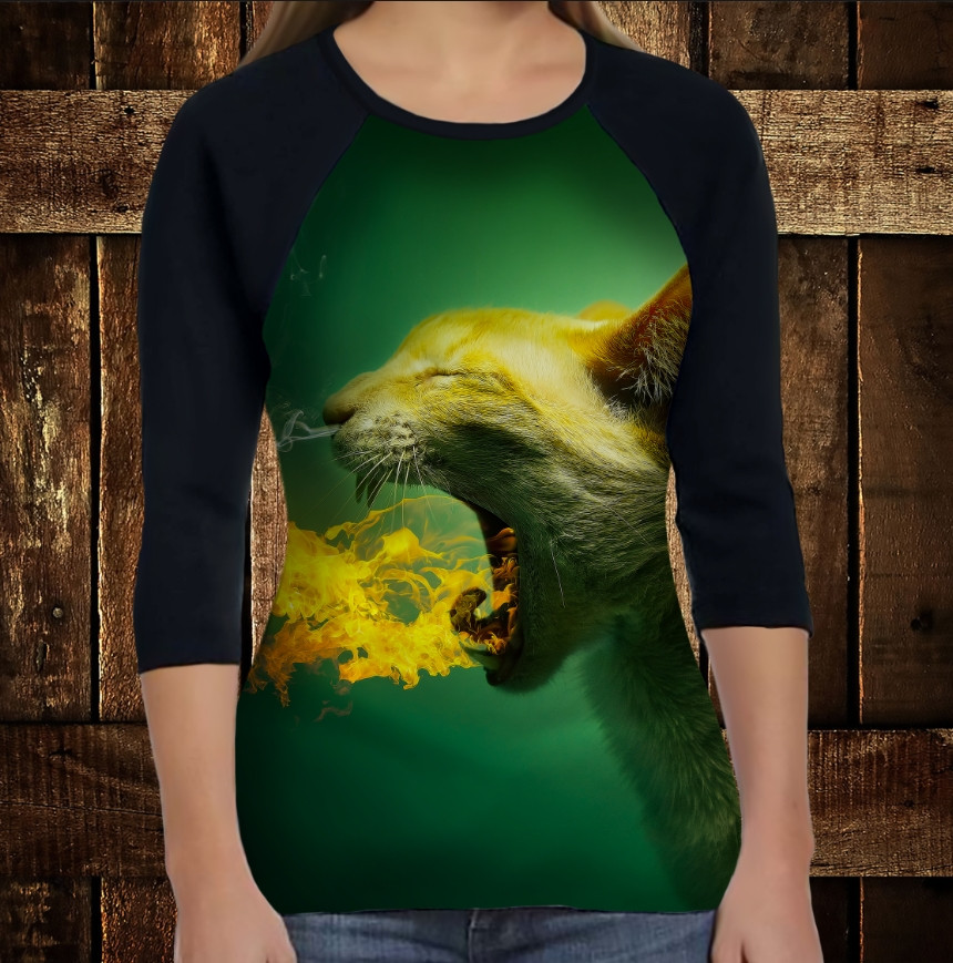 Лонгслив-реглан з 3D принтом: Котик дихає вогнем ВСІ Розміри, фото 1