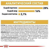 Сухий корм для дорослих собак породи чіхуахуа Royal Canin Chihuahua Adult, 1,5 кг, фото 7