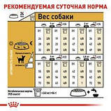 Сухий корм для дорослих собак породи чіхуахуа Royal Canin Chihuahua Adult, 1,5 кг, фото 8