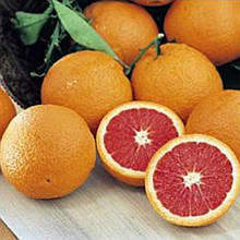 Апельсин Кара Кара