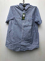 Мужская котоновая рубашка с коротким рукавом НОРМА A730-2 Купить оптом недорого со склада в Одессе