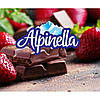 Шоколад Молочний Alpinella Czekolada Peanuts and Raisins Альпинелла з арахісом і родзинками 90 г Польща, фото 7