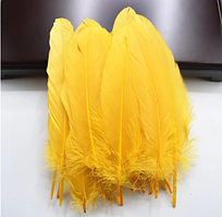 Пір'я гусака натуральне Декоративне перо Колір Золото 13-20 см