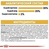 Royal Canin Chihuahua Puppy 0,5 кг сухий корм для цуценят породи чихуахуа до 8-ми місяців, фото 5