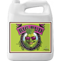 Advanced Nutrients Big Bud (4L)