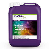 Стимулятор цветения PLAGRON Green Sensation (5L)