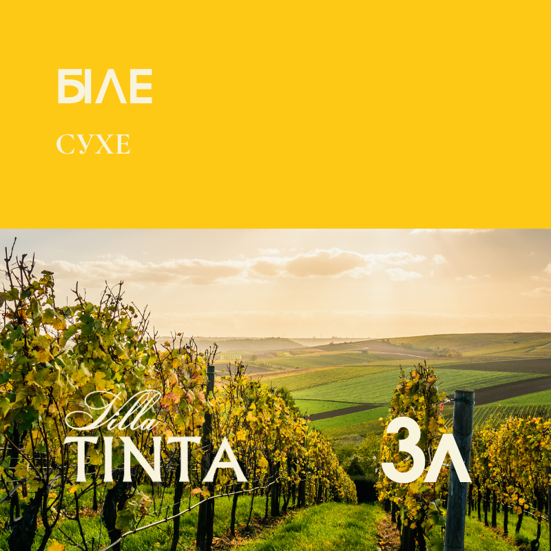 Біле сухе Villa Tinta, фото 1