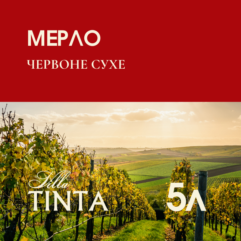 Мерло Villa Tinta 5 л, фото 1