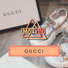 Gucci / Louis Vuitton