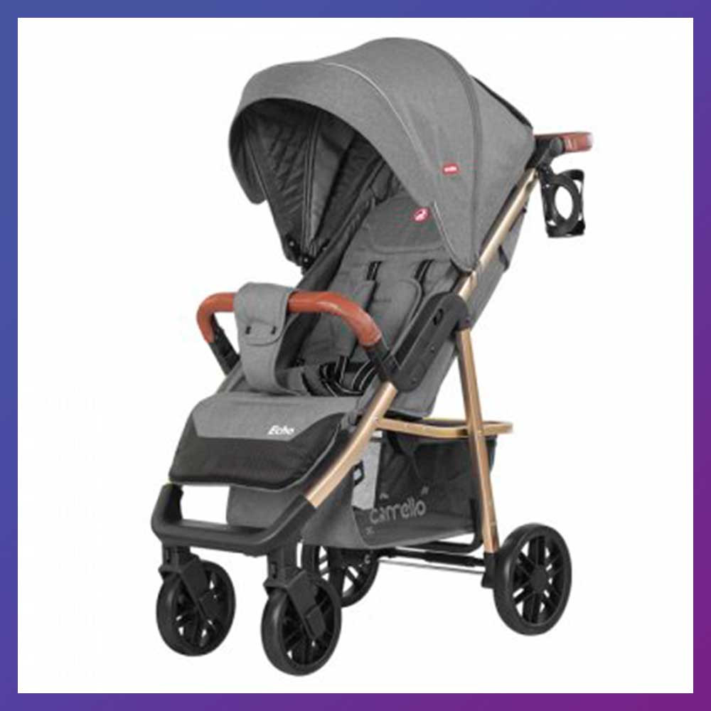 Дитяча прогулянкова коляска - книжка з регульованою спинкою CARRELLO Echo CRL-8508/1 Rhino Gray сіра