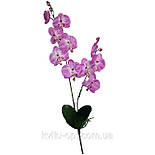 Орхідея штучна фаленопсис для заливання 73 см, фото 3