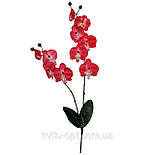 Орхідея штучна фаленопсис для заливання 73 см, фото 4
