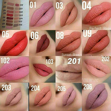 Рідка матова помада Farmasi Фармасі стійка ( тон 1, 4, 107, 6, 8, 9 або колар на вібір) зняті кольори!