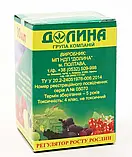 Вимпел-2 30 мл регулятор росту рослин, фото 2