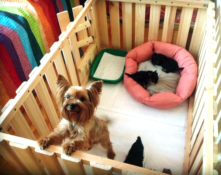 Вольєр для цуценят "Ахрас" бланже