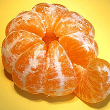 Мандарин Кіноу (щеплений)