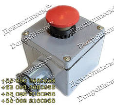 ПКУ-15-21-113 пост кнопковий, фото 2