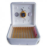 Інкубатор Веселе сімейство з механізмом автоматичного перевороту акваріума, фото 3