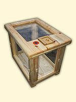 Вулик спостережний (інгалятор)