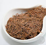 Чай Лапачо кора мурашиного дерева 100 г, фото 4