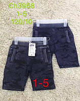 Шорти для хлопчика оптом, S&D, 1-5 років, № CH-3968, фото 2