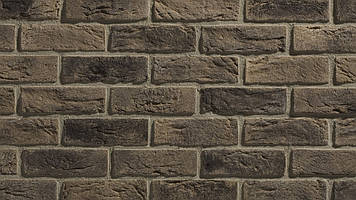 Бетонна Плитка Stegu Country 618 205x62x17