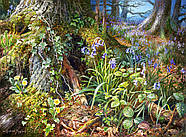 Пазли Castorland 2000 елементів Лісова галявина (C-200764), фото 2