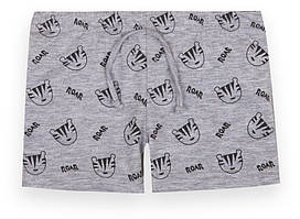 Шорти дитячі для хлопчика GABBI Сафарі кідс Сірий на зріст 68 (12590)