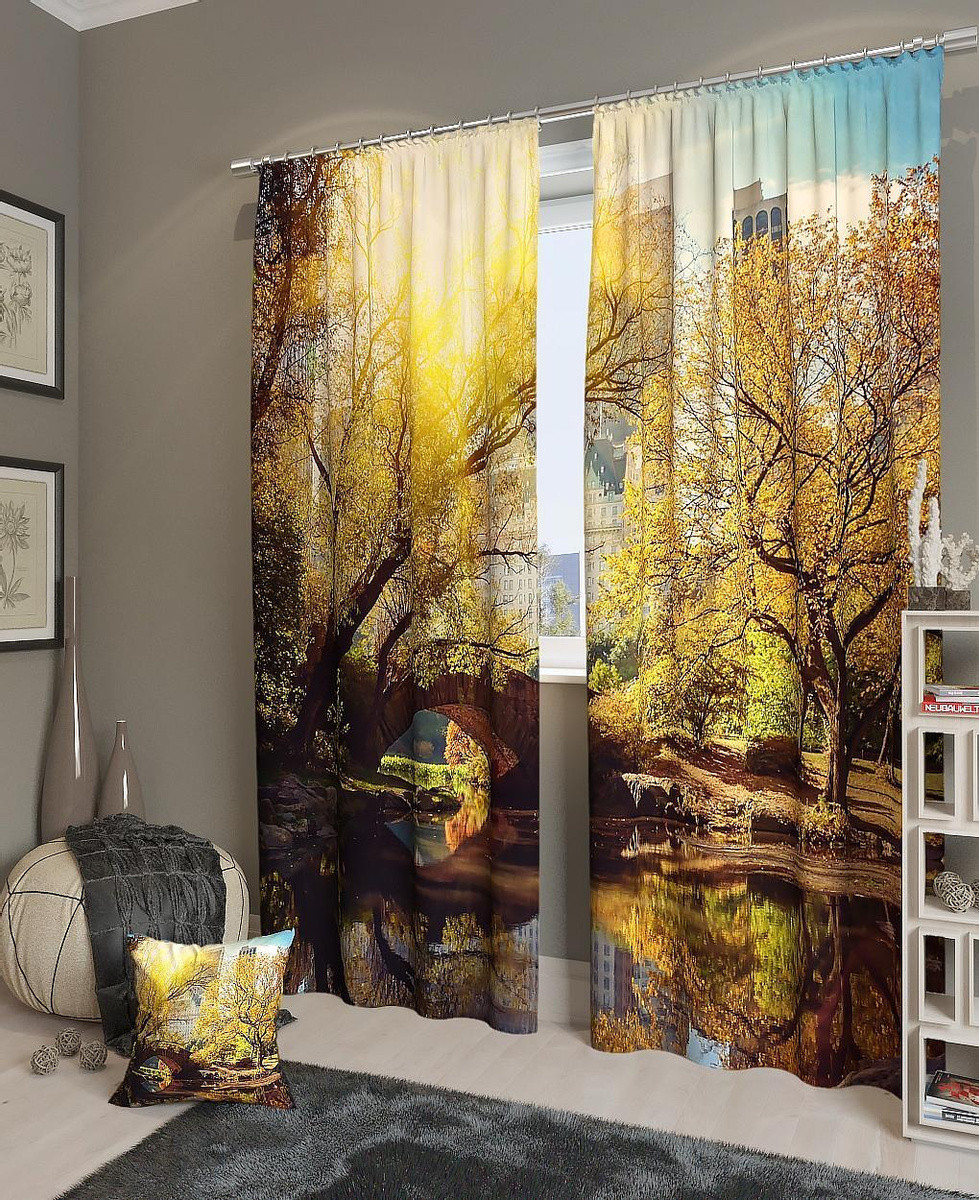 Фотоштори міст на ставку, фото 1