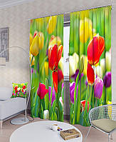 Фотошторы яркие тюльпаны