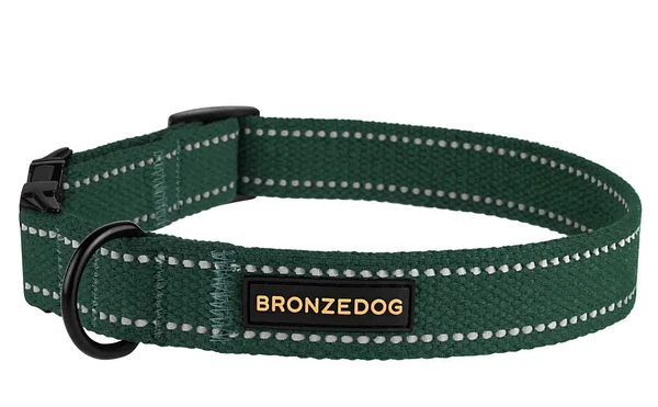 Нашийник для собак ТМ BronzeDog брезентовий зелений обхват шиї 25-33см ширина 20мм S