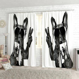 Фотоштори собачка з телефоном