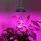 Фіто лампа для рослин E27 LED 10W, фото 2