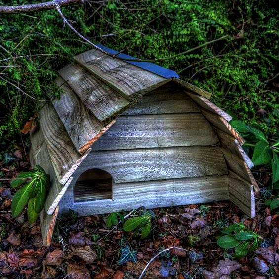 Будиночок для їжачків "Боня" моріон