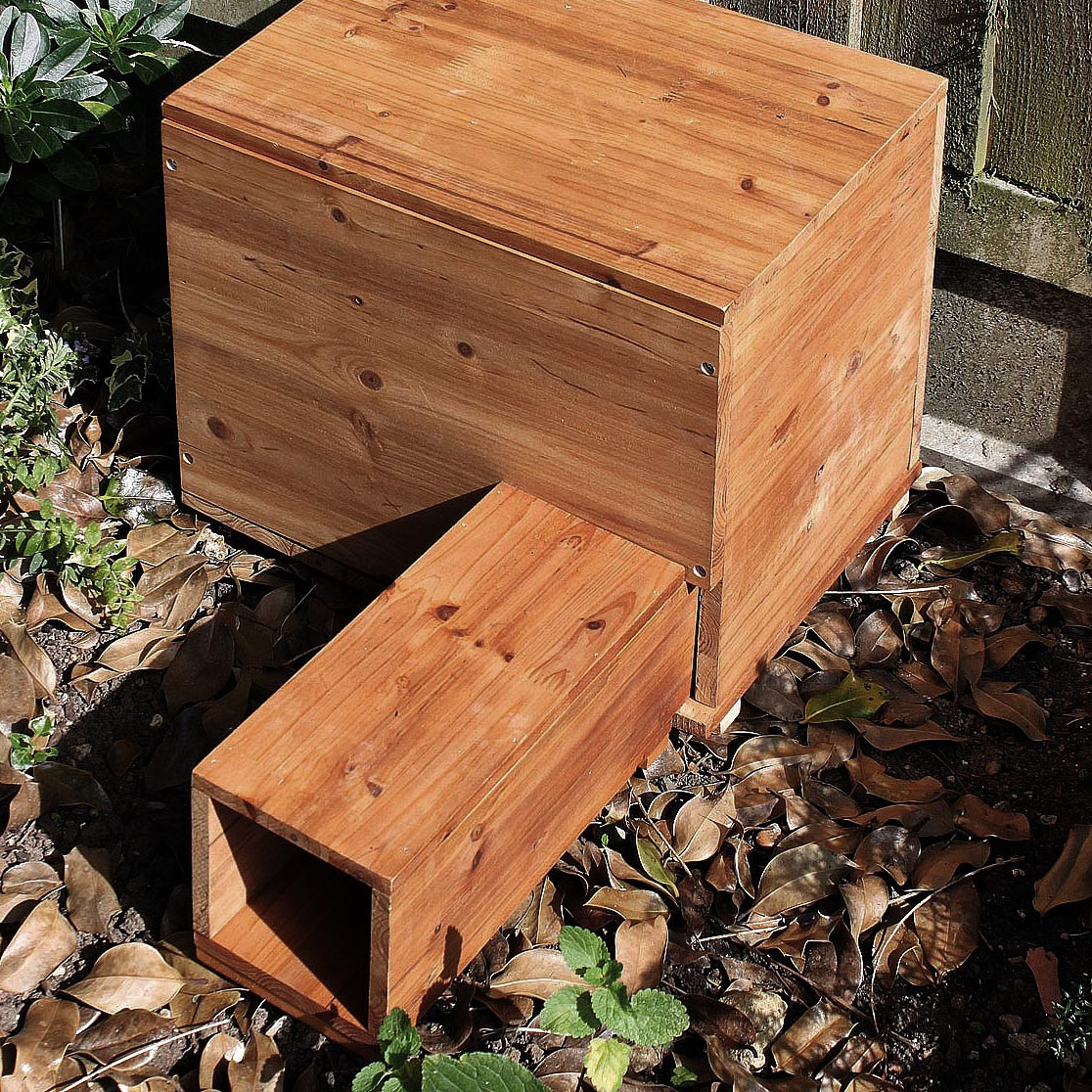 Будиночок для їжачків "Кактус" сієна