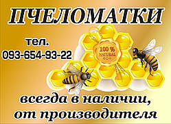 Матка бджолина Бджооматки української степової породи 2020