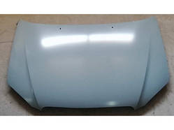 Капот Бід Ф3 BYD F3 BYDF3-8402010