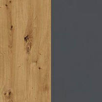 Шафа Б'янко 3Д з дзеркалом 2200х1200х570мм дуб артезіан + графіт Світ Меблів, фото 5