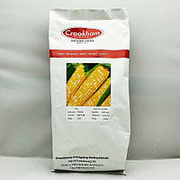 Кукуруза сахарная Ксанаду F1 / Xanadu 5000 семян, суперсладкая биколор Crookham Company Netherlands (Hazera)