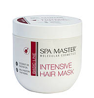 Інтенсивна маска для сухого і фарбованного волосся SPA Master