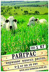 Насіння Трави Райграс Ганріетта. Газоній кг