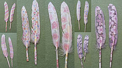 Перо гусяче, з малюнком, 9-15 см