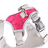 Шлея для собак Bororo Комфорт і контроль під час кожної прогулянки, фото 5