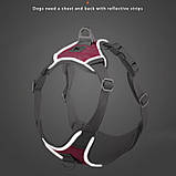Шлея для собак Bororo Комфорт і контроль під час кожної прогулянки, фото 6