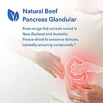 Allergy Research Pancreas Beef / Піджовдова залоза (яловичина) 90 вег. капс BX141, фото 3