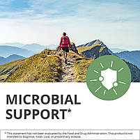 NutraMedix Cumanda / Куманда антимікробна підтримка 30 мл, фото 8