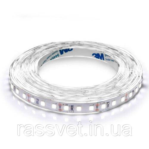 Світлодіодна стрічка BIOM Professional BPS-G3-12-2835-120-CW-20 білий, негерметична, 1 м