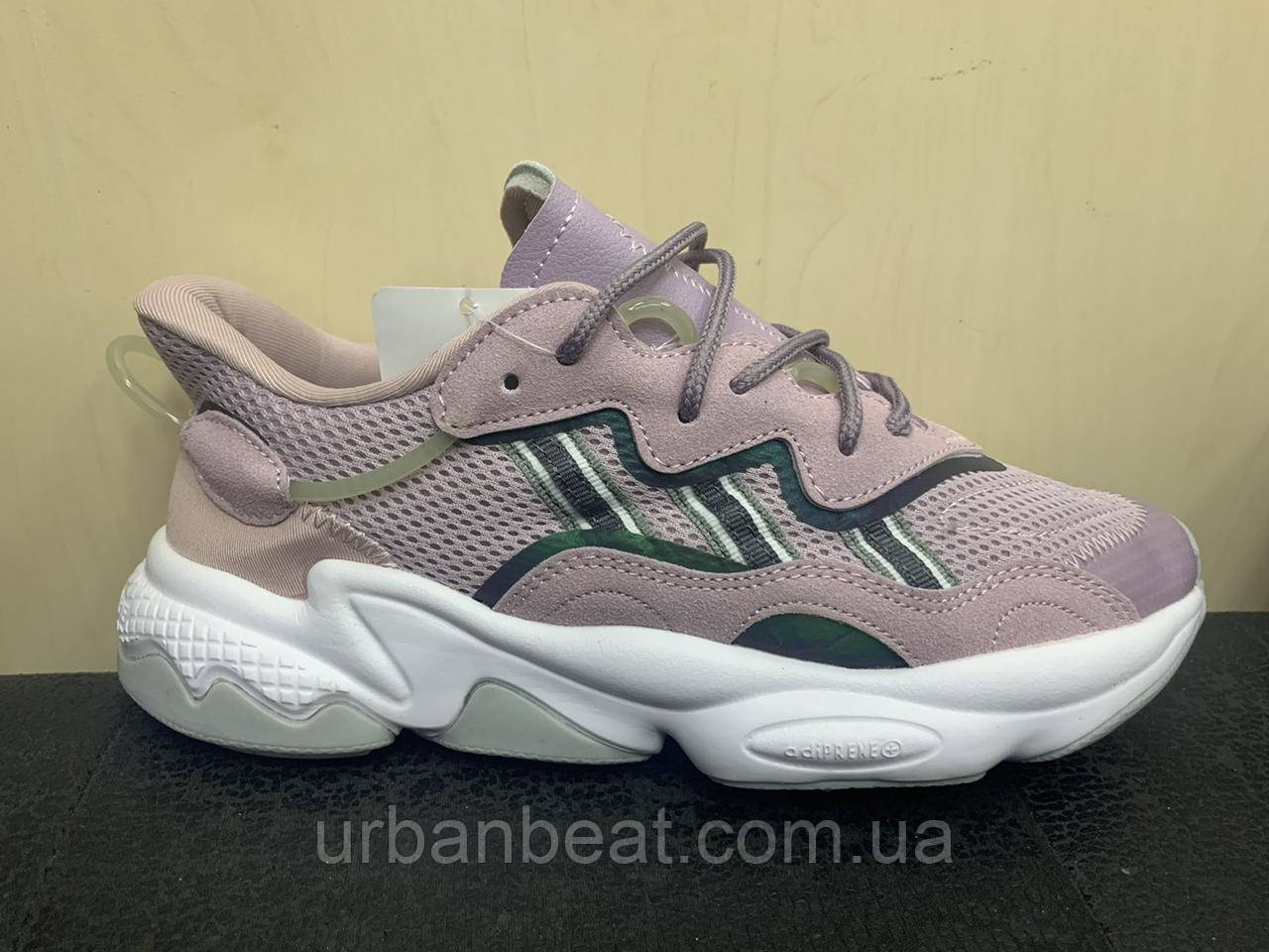 Жіночі кросівки Adidas Ozweego Purple
